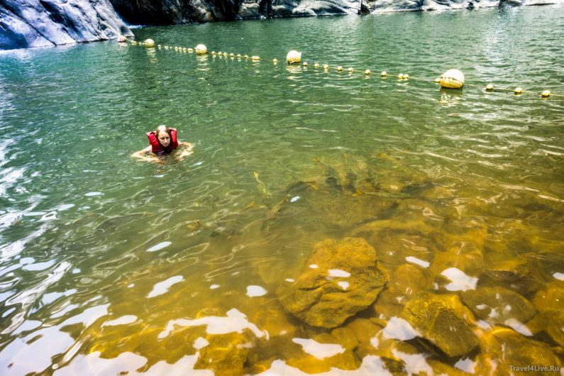 У водопада Дудхсагар можно встретить больших рыб